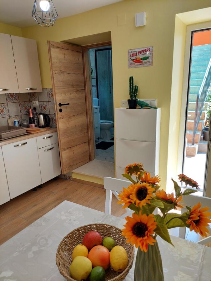 Mexicana Apartment Yellow ザダル エクステリア 写真