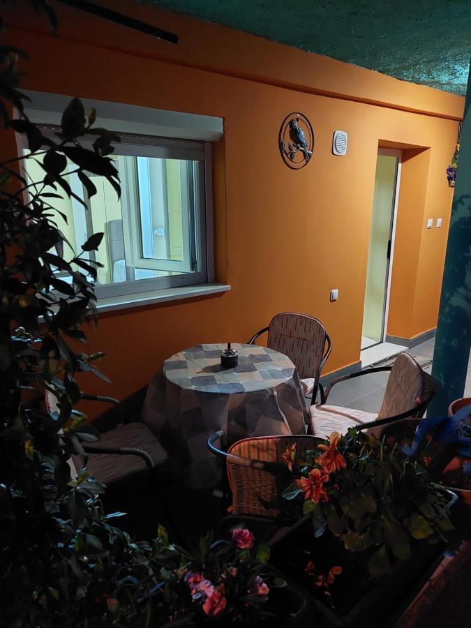 Mexicana Apartment Yellow ザダル エクステリア 写真