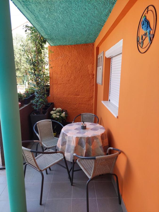 Mexicana Apartment Yellow ザダル エクステリア 写真
