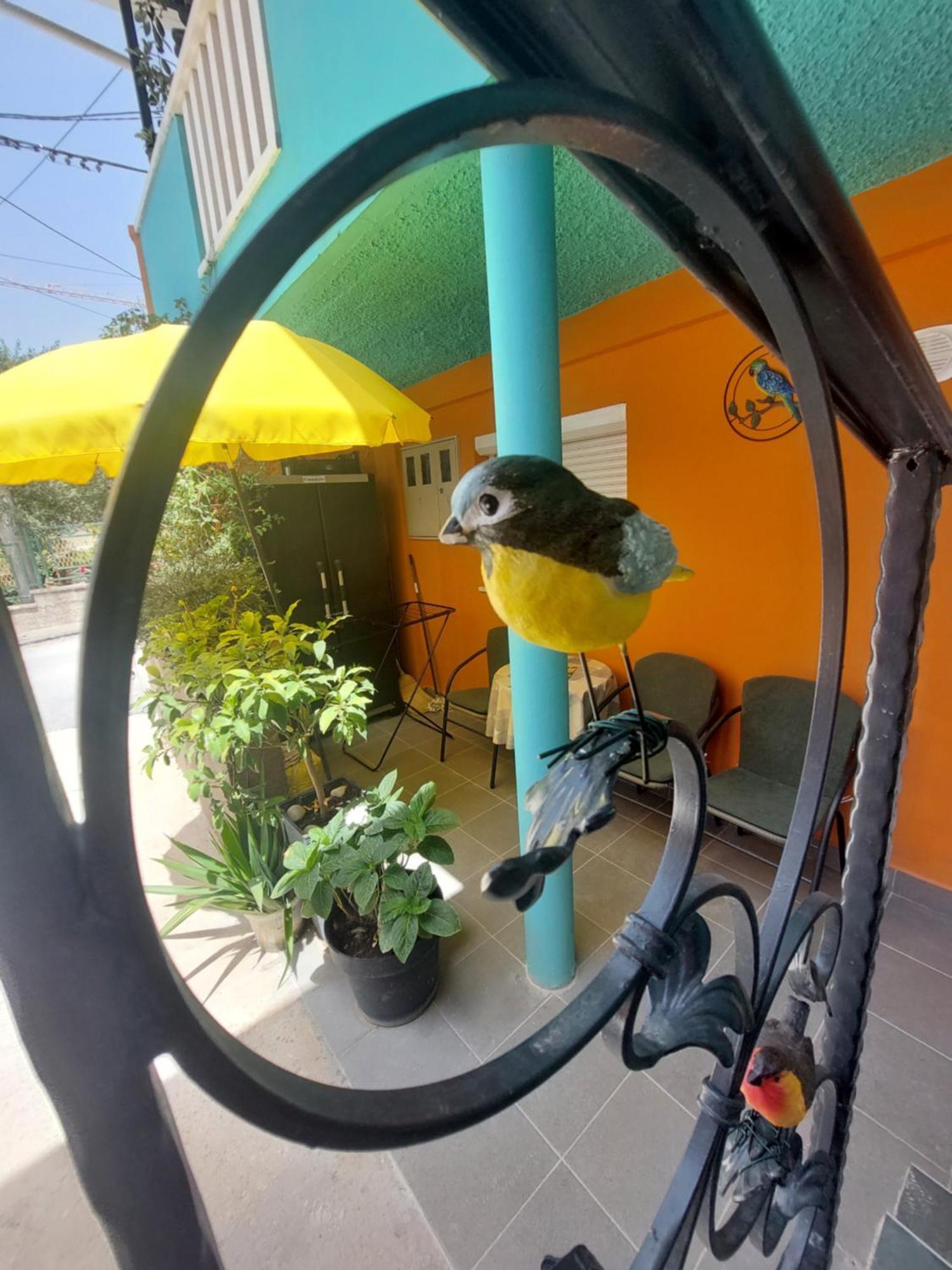 Mexicana Apartment Yellow ザダル エクステリア 写真