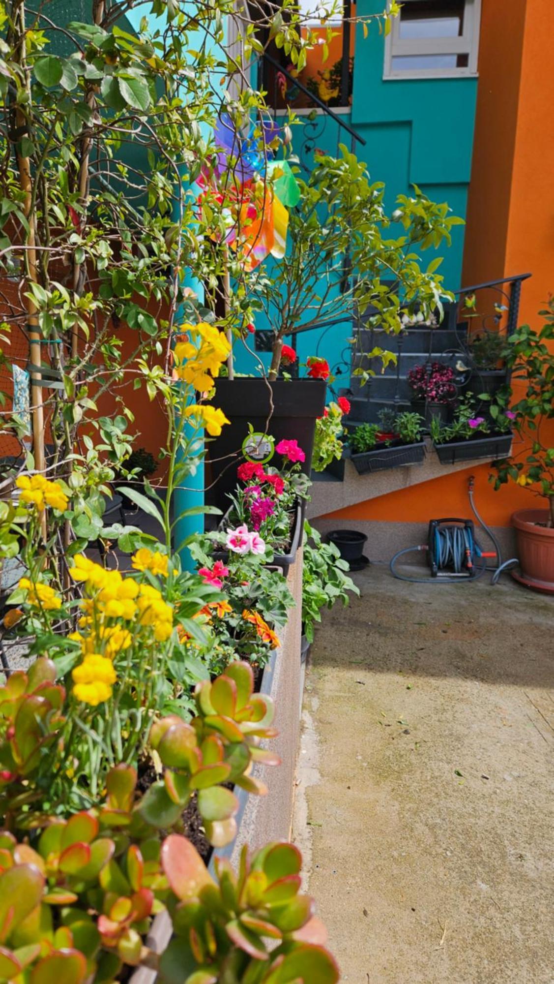 Mexicana Apartment Yellow ザダル エクステリア 写真