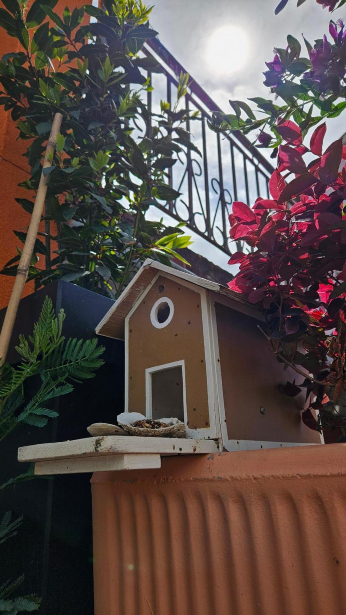 Mexicana Apartment Yellow ザダル エクステリア 写真